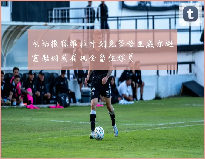 电讯报称维拉计划免签哈里威尔逊富勒姆或有机会留住球员